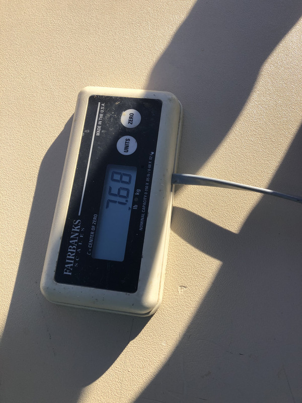 39422BAC-3FC8-47BF-A088-14D5AE0167A9