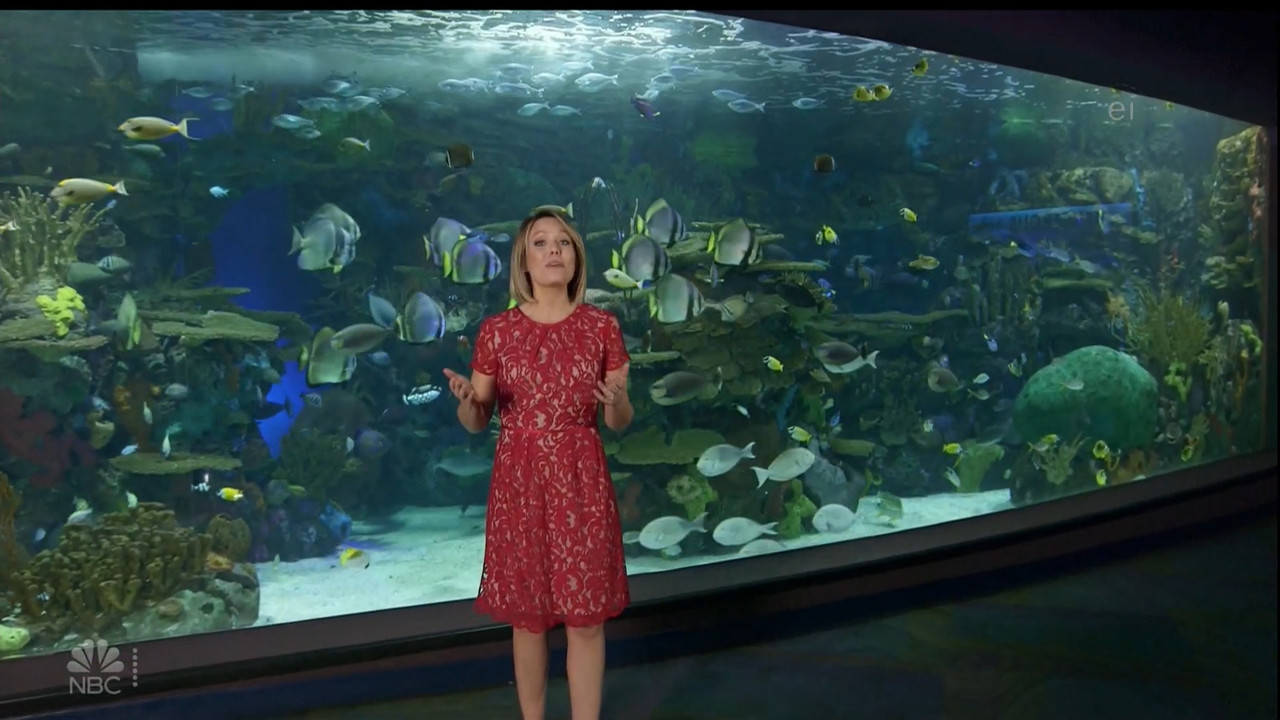 11.07 - 15.00.00 - Earth Odyssey With Dylan Dreyer. The world's smart....ts_snapshot_01.05.18.411
