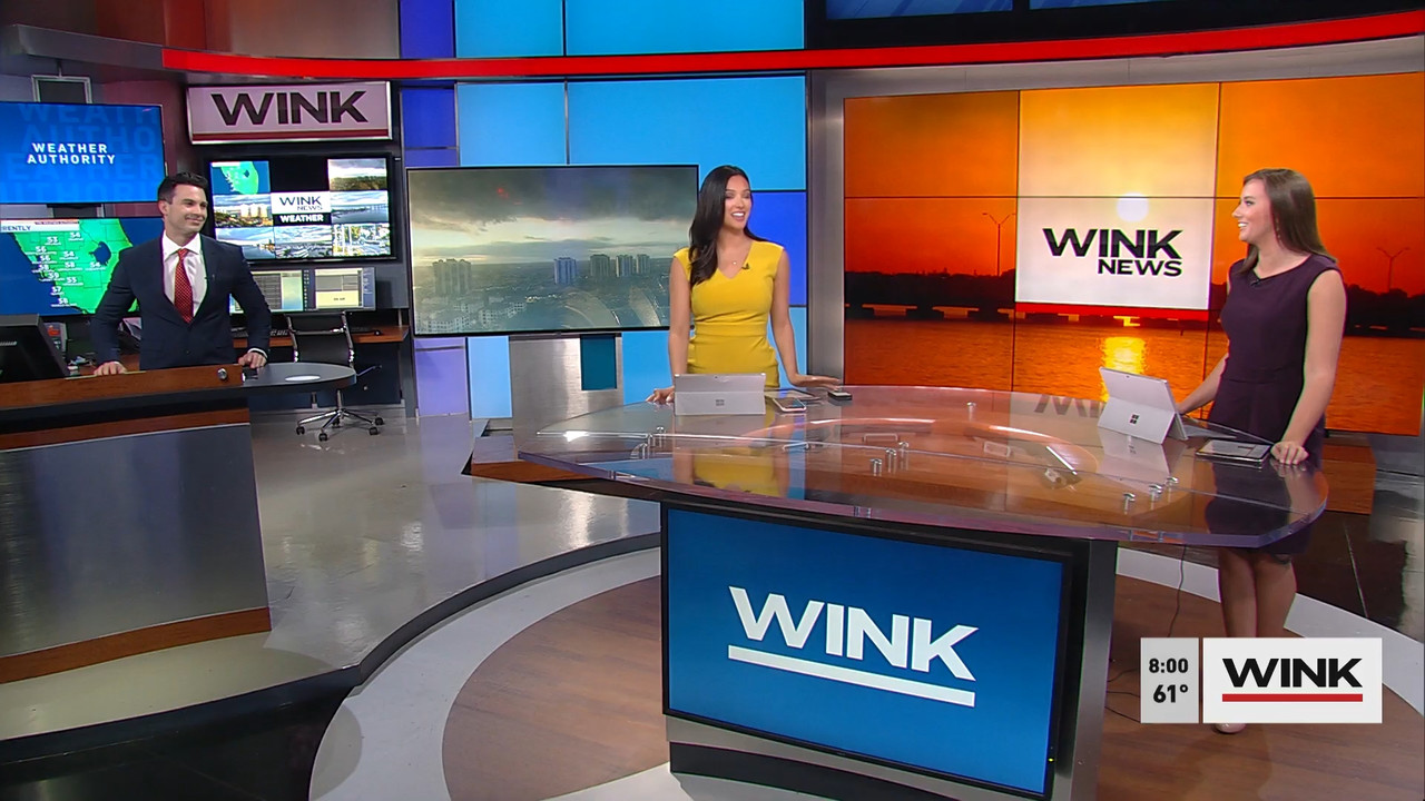 03.20 - 11.00.00 - WINK News at 7 00 a.m. Saturday..ts_snapshot_01.02.09.135