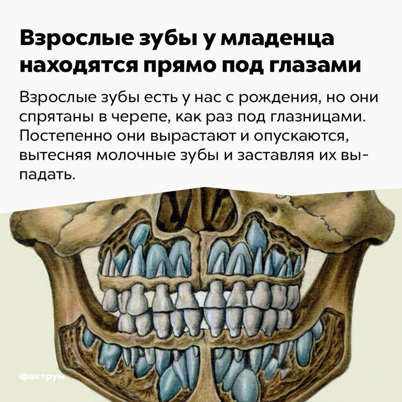 [Изображение: aa3849410b0688b193b02749ca0e2b1d.jpg]