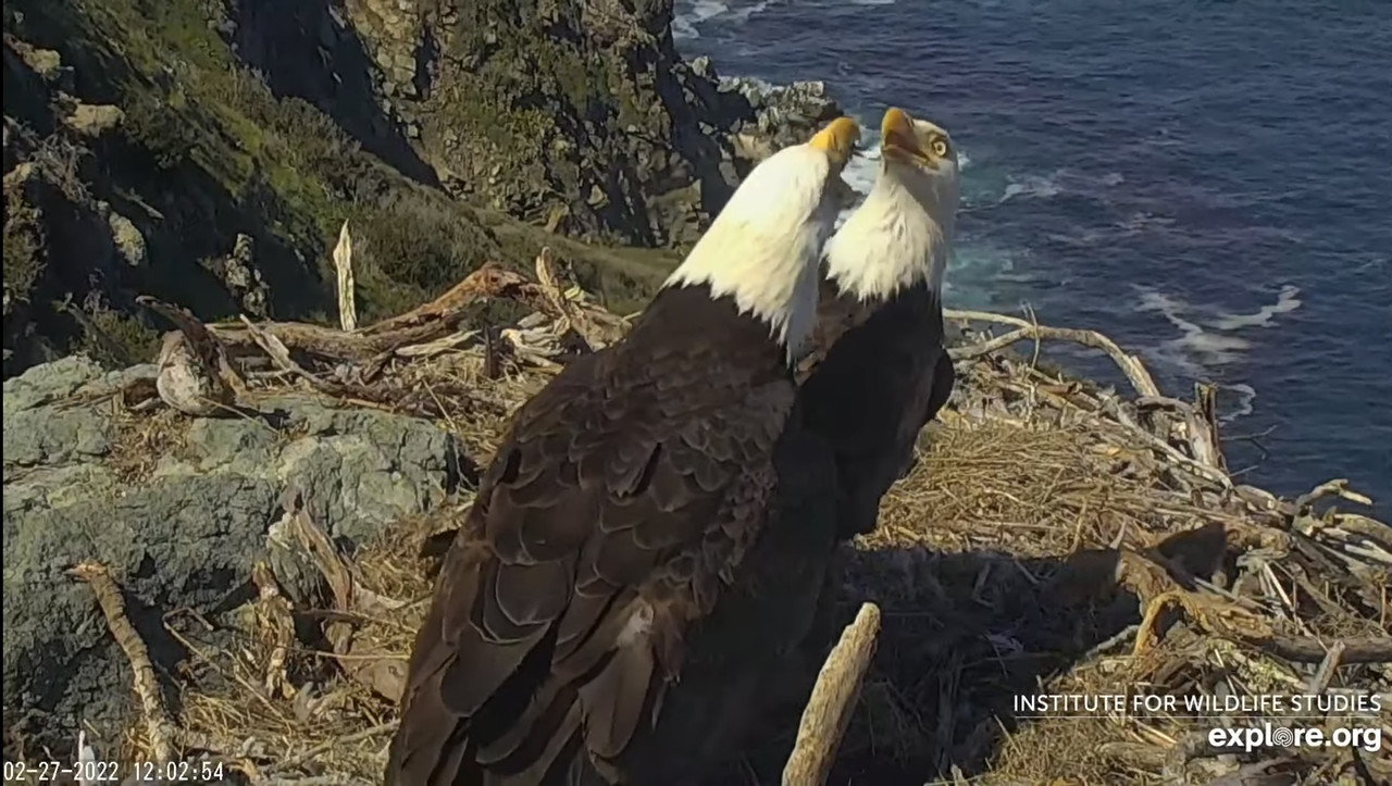 E61820A1-3007-449A-AFF3-DAB37F2DF765