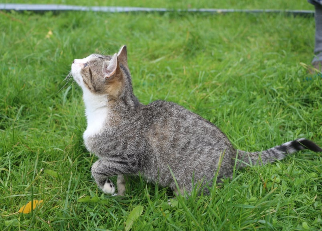 imgonline-com-ua-Resize-2jLsyFECg55HkYo