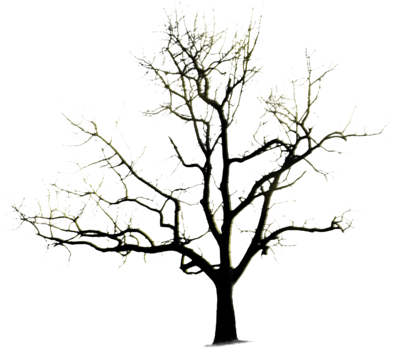 Halloweenpumpkitdndarktree