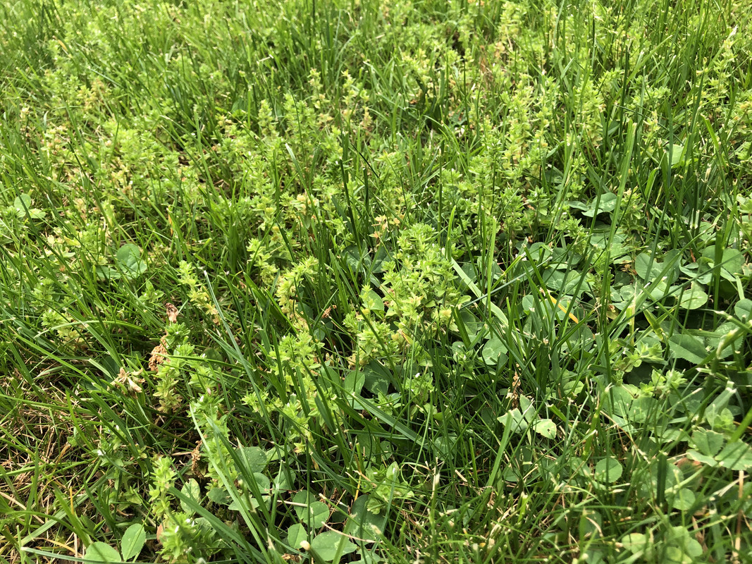 D44E1985-F25B-443C-9B37-AF6F92A22D8B