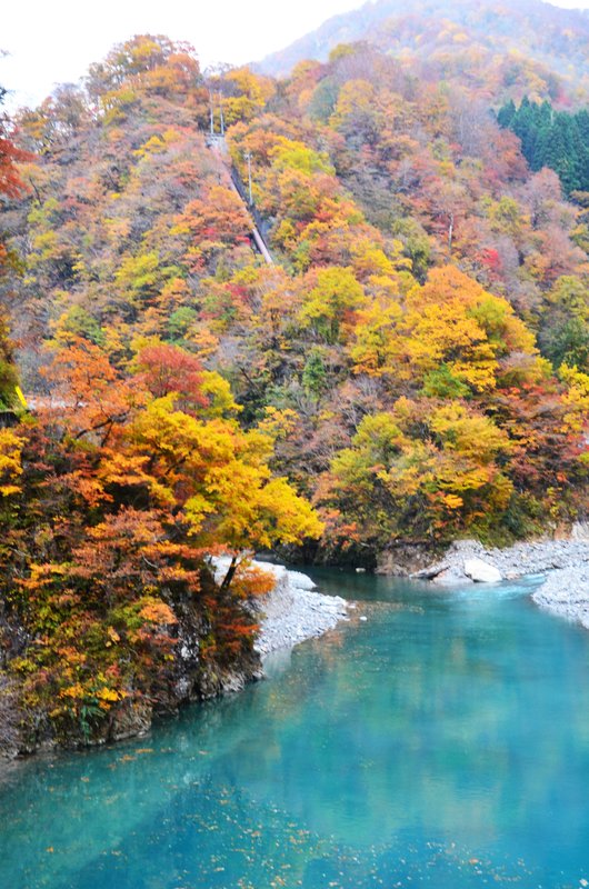 Presa Oguchi Daiichi y Templo Fukase-15-11-2024 - Japón y sus Pueblos-2024 (8)