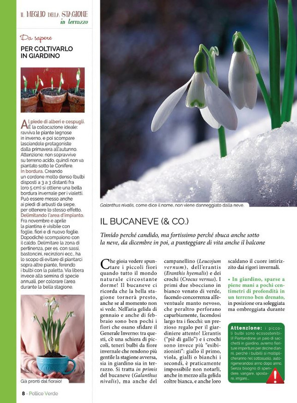 Pol Ver Gen 2023 (1)