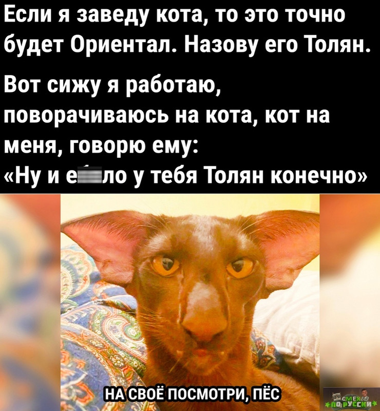 pASf3uqSQYE