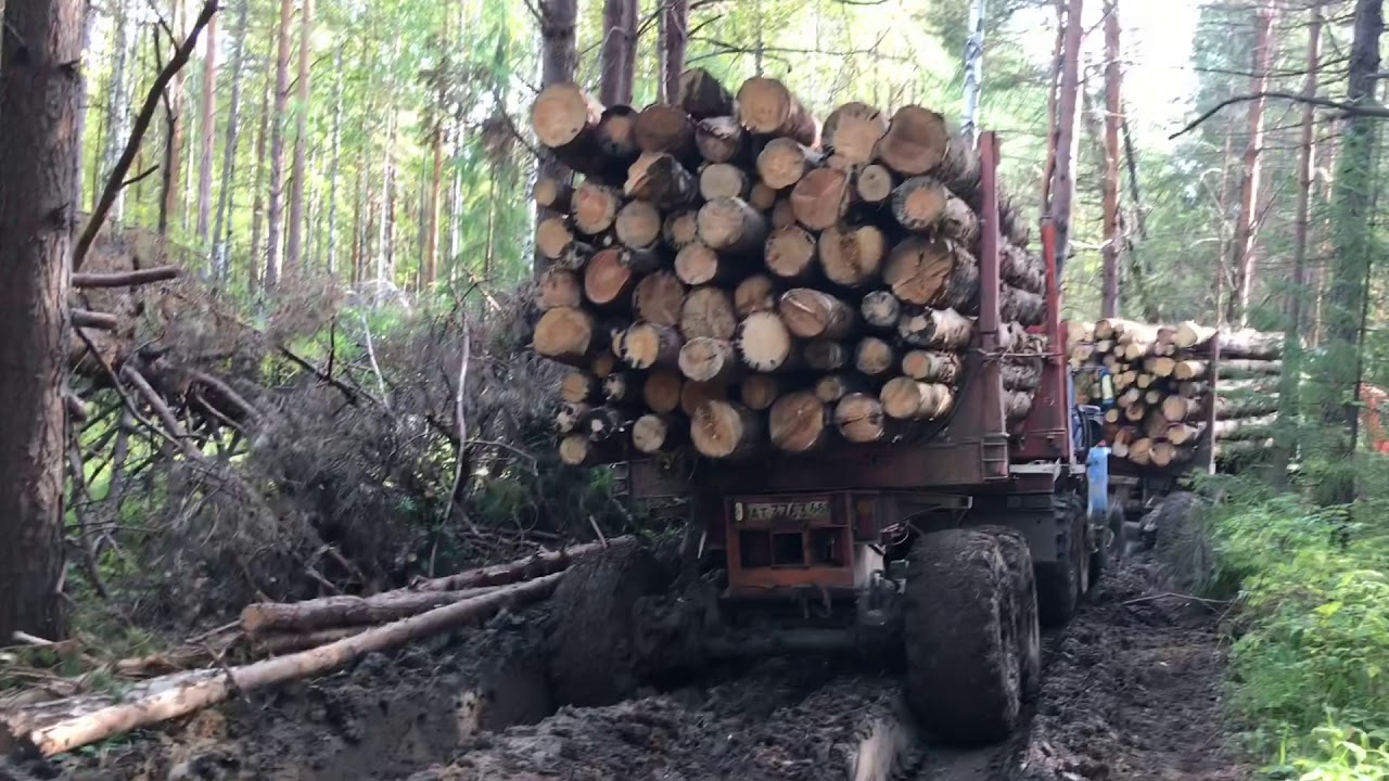 сколько кубов леса в лесовозе - Технология строительства