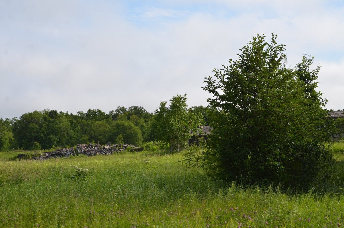 DSC-6770.jpg