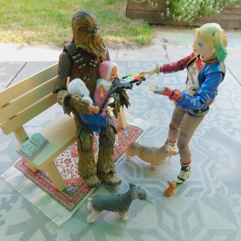 Дачно-Харлинский июнь-июль 2024 267