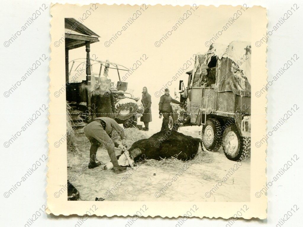 Foto, 2.Pz.N.A.82, schwerer Panzerspähwagen Funk