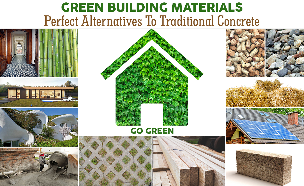 Green Building Materials Specialist Promoting Eco Friendly