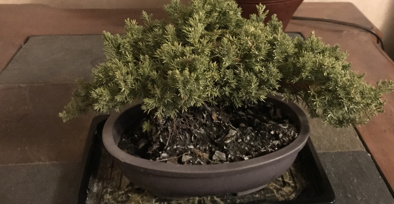 [Image: C0664498-88-CD-4-E6-A-A04-F-E865-FC5-B95-DB.jpg]