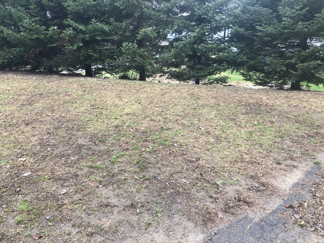 AD8B6F73-3EB5-4141-B6EA-2B89FF08744B