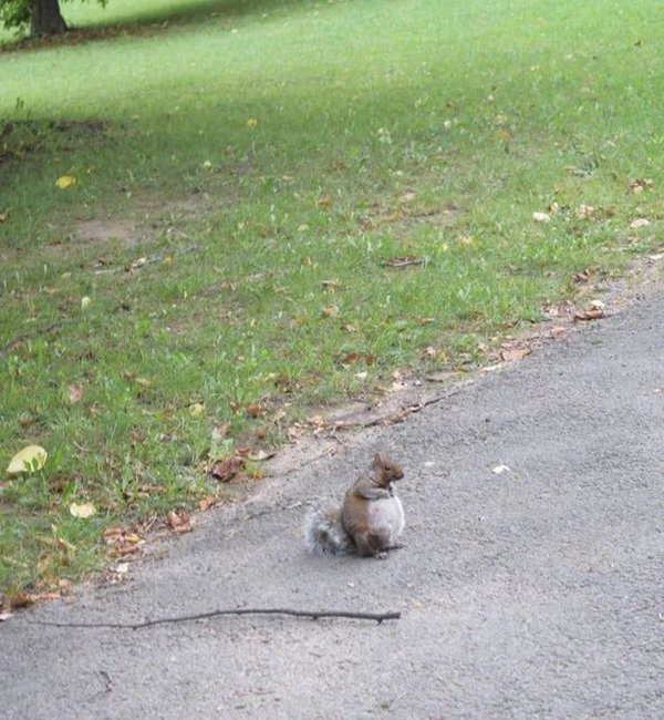 [Image: Friend.jpg]