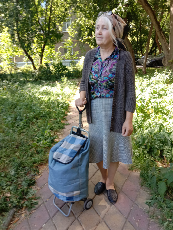 Сумка на колесах