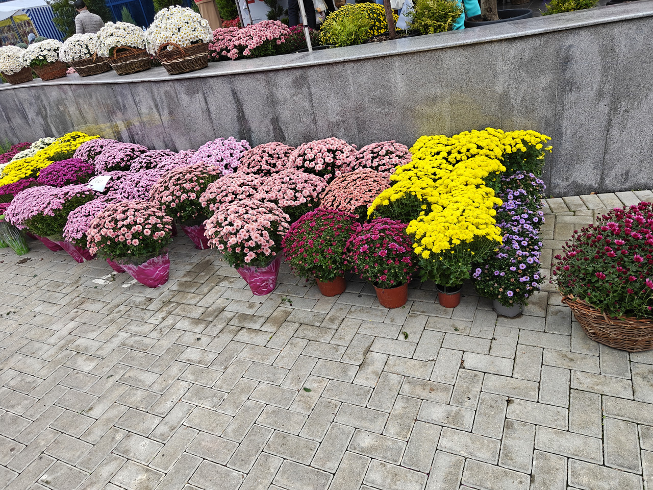 IMG20261017124457