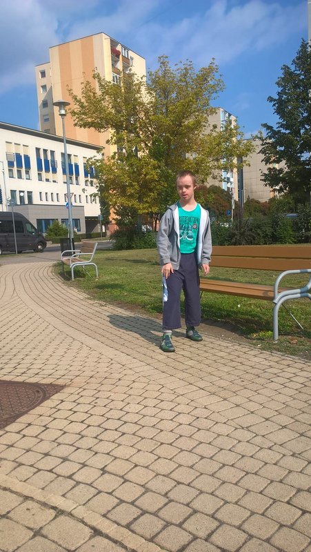 Kép