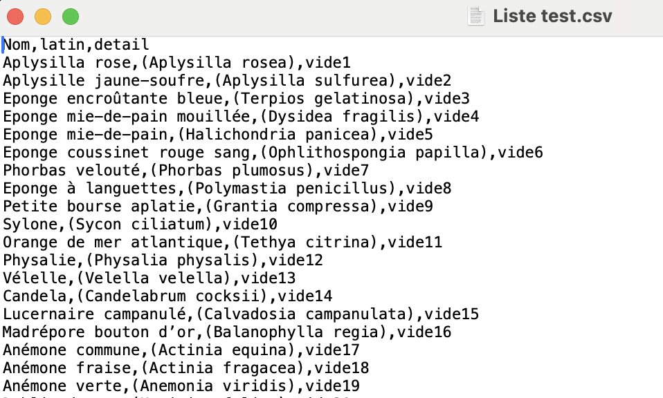 Capture d’écran 2024-11-06 à 08.11.53