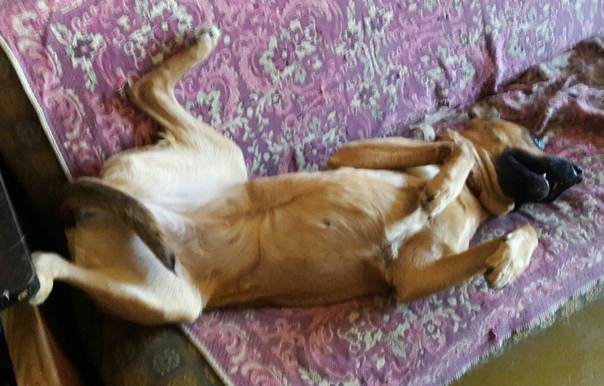 91D42234-1B99-49B3-BF8F-1BE54DA3C9DD