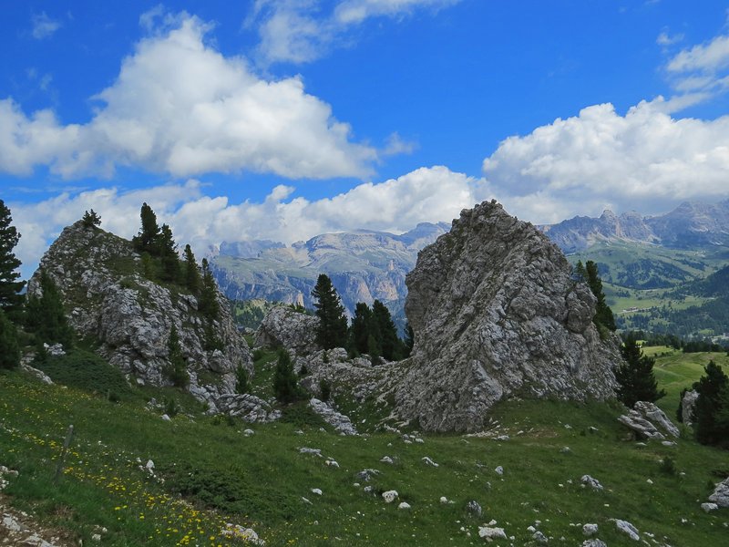 https://i.postimg.cc/JnqvVzmL/230-IMG-1824.jpg