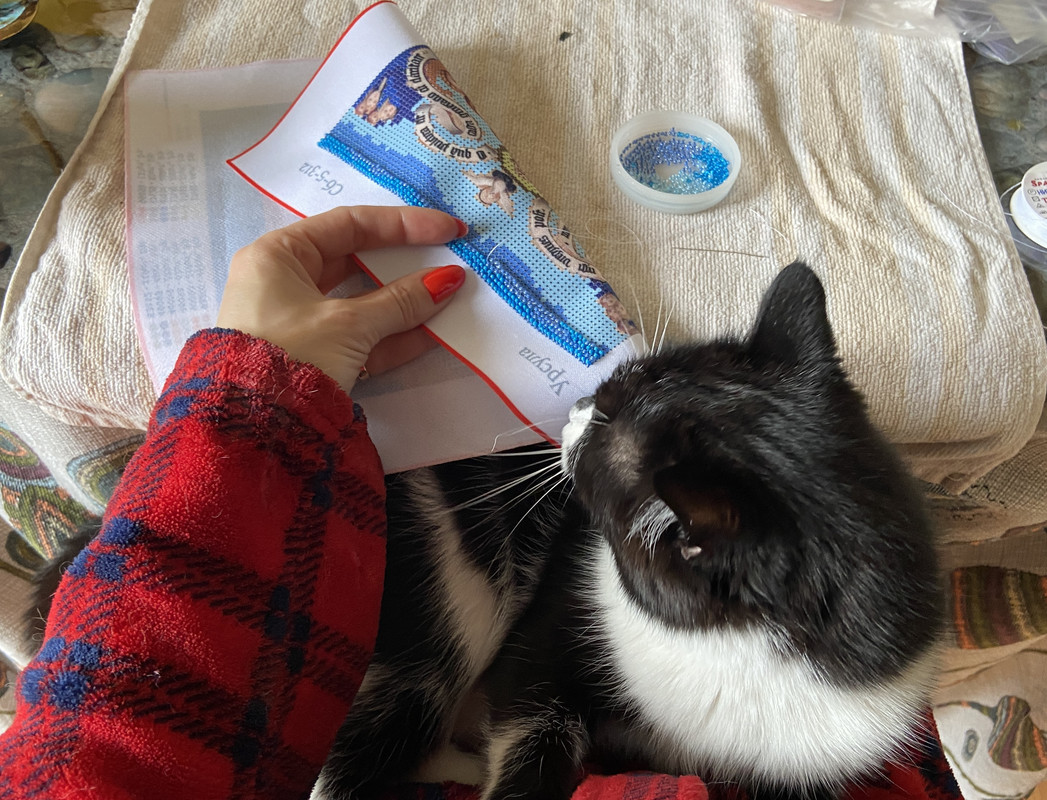 B0B598DC-E6CF-4B6A-91C7-4B4F10A00B49