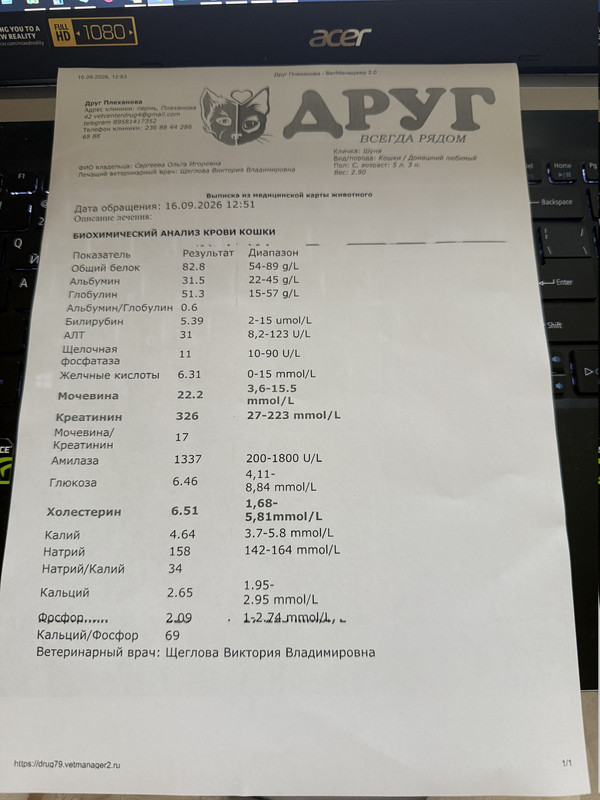 Изображение