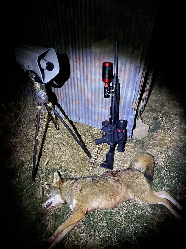 42B654FB-DAC0-4D16-8429-E0B2959B05CD