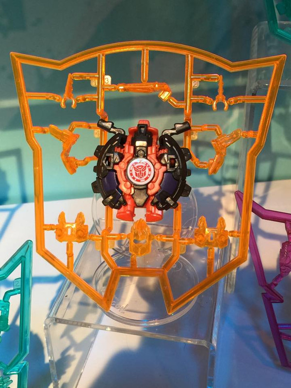 10978718_10152745318629912_682027304260653260_n