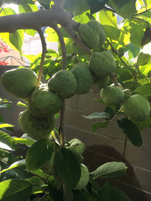 BE50B37C-081C-4F1F-A4D9-393D5B2BE925