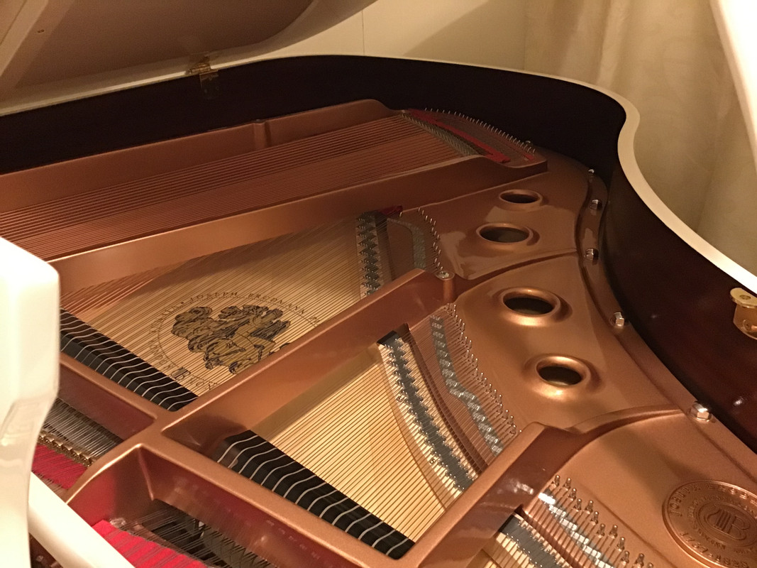 F7D9A45E-C87D-4B59-9946-463E3BD5FB2B