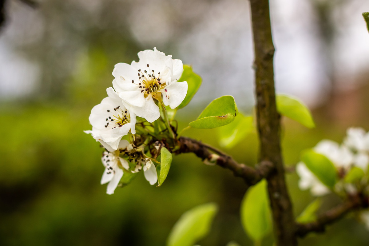 B163D009-B4BE-418A-B6E5-0929B511B952