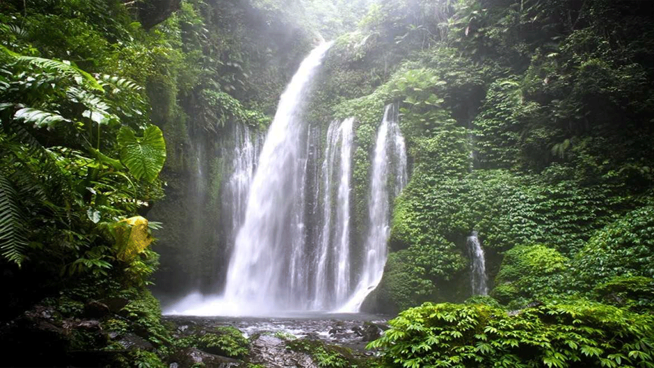 Air Terjun Tiu Kelep: Keindahan Tersembunyi di Kaki Gunung Rinjani
