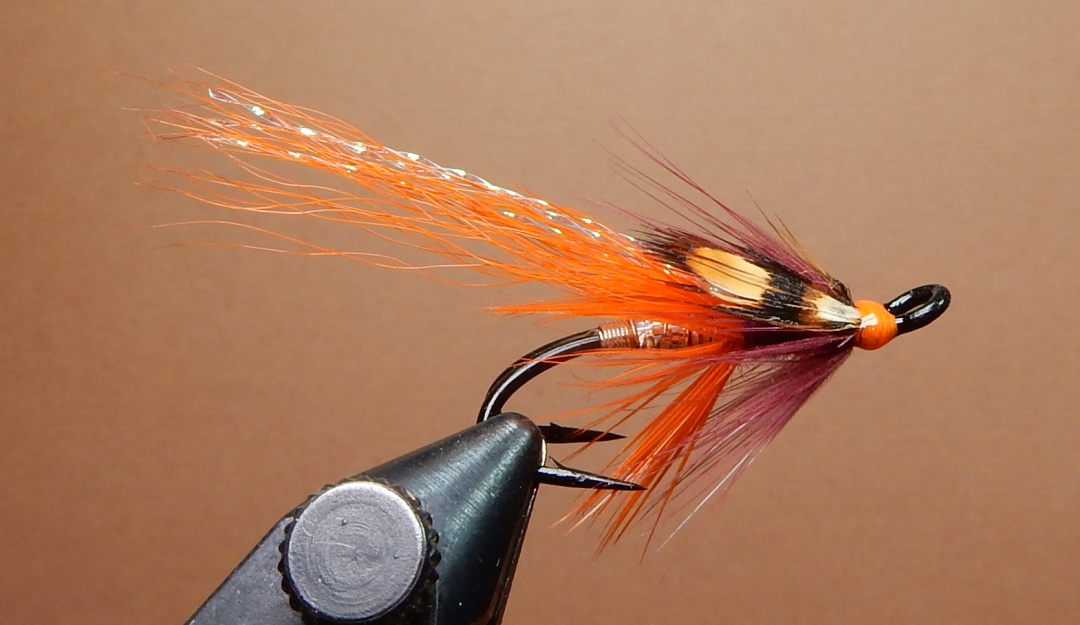 Life-on-Mars-1080.jpg