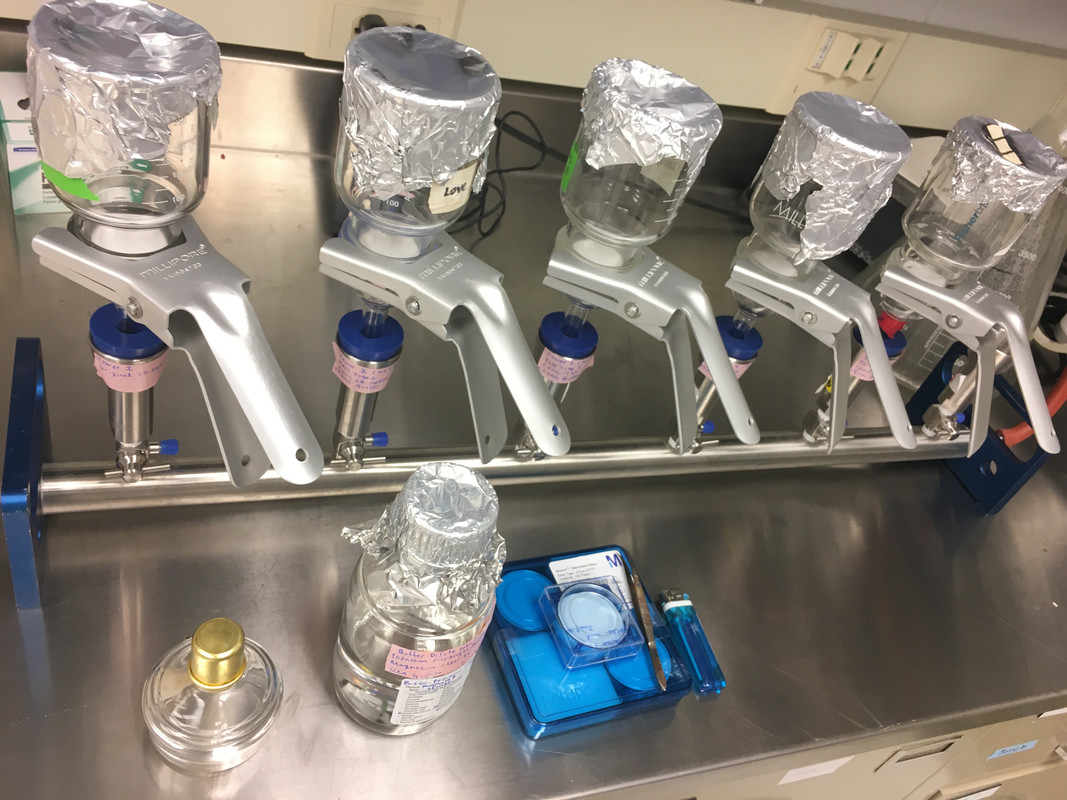 Towers for Optical Density (2017)