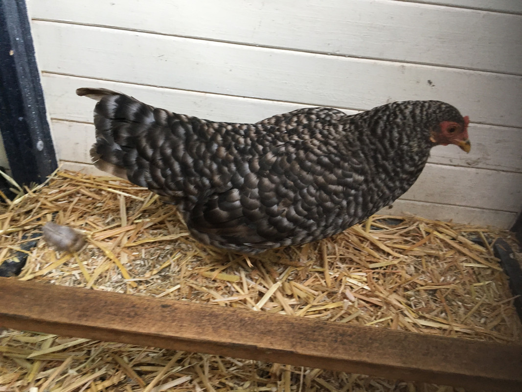 899187B3-43D7-4557-94FA-6CD6BF8713DC