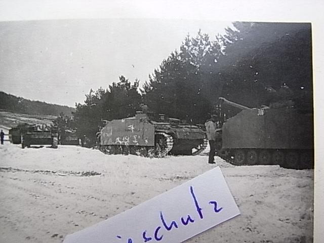 MIzyQe309RL5138598206631P3938