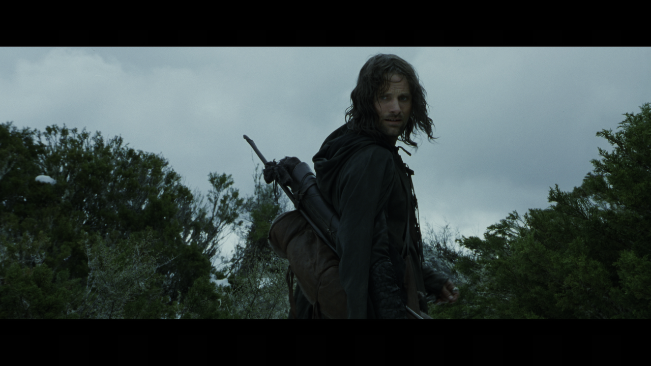 The Lord of the Rings- The Fellowship of the Ring (EXT.) PT. 1.mkv_snapshot_01.06.42_[2020.12.05_22.