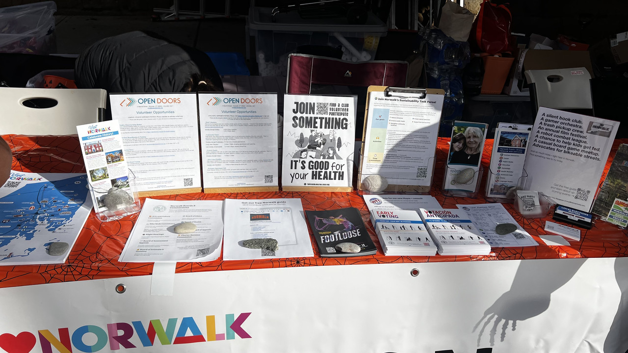 Task force flyer