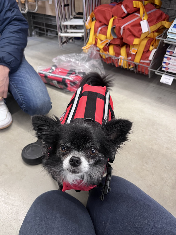 [Image: IMG-8855.jpg]