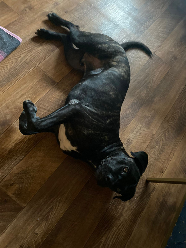 DBC05E2C-565E-4A6F-8DE5-B771EB5AC150