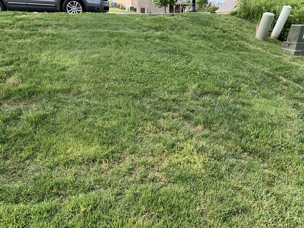 9A309012-C7DC-4734-82A5-7675FB8D486A