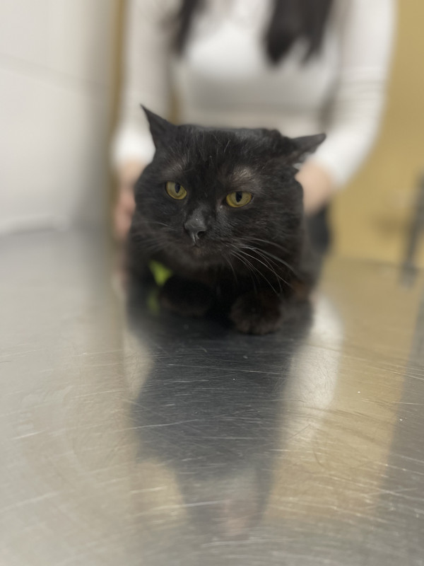 FAC1CA25-DFA4-4B4A-ADED-1AE26A38E5FF