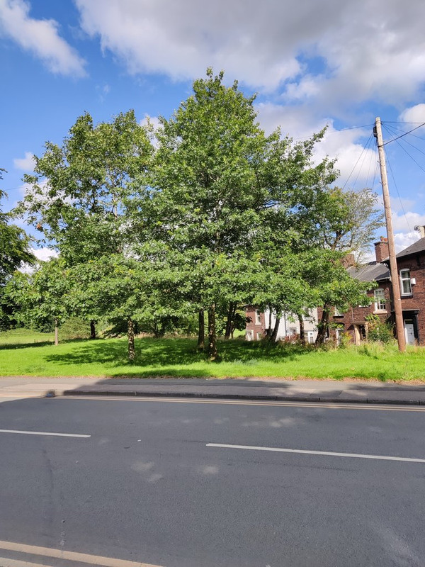 IMG_20200802_170110 stock