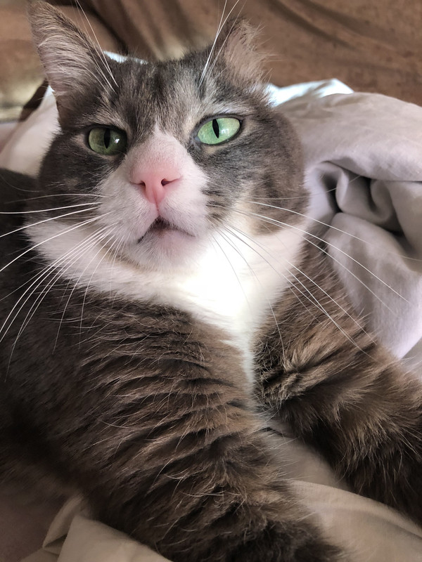 039AAD87-5207-4F78-9F6D-A51C0D1EB14A