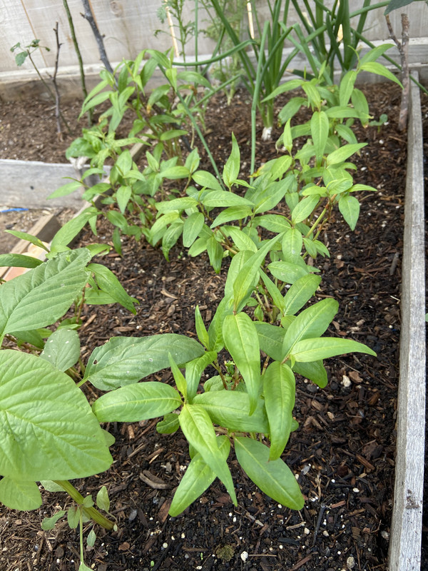 40163858-92E1-45AB-B10E-AFEC4C9325DE