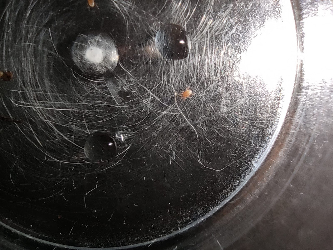 WhatsApp Image 2020-09-25 at 21.29.52(7)