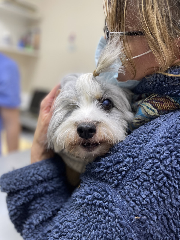 E4AAE367-862E-4A19-9654-00B714362E51