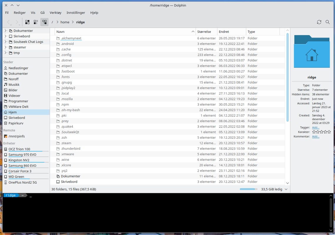 Dolphin file manager with places, info, folders, and terminal panels all open at the same time.