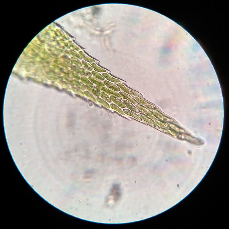 IMG 20250615 221312 HDR